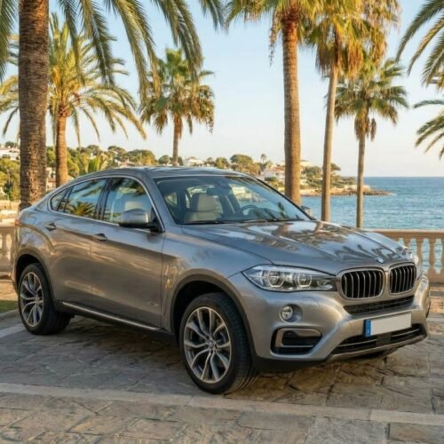BMW X6 F16 30d 258 CV Diésel | Segunda Mano en Alicante